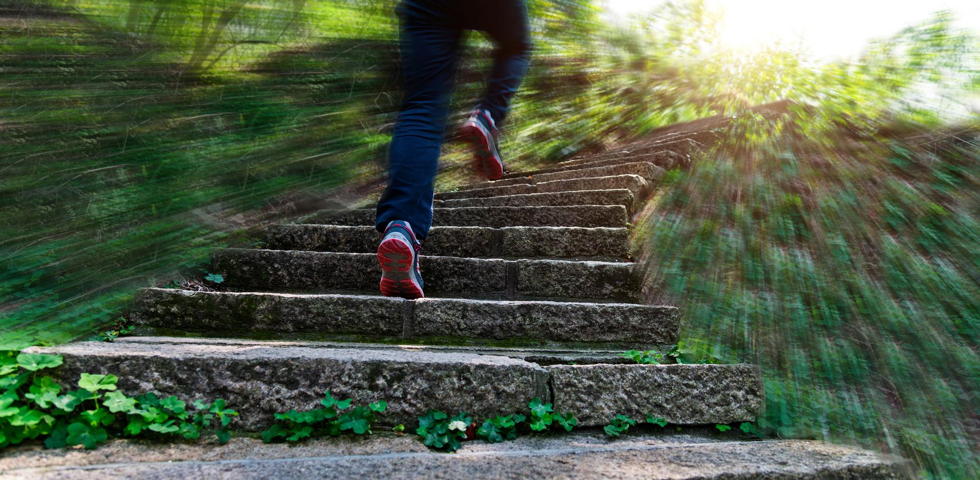 Low section of man running on forest stairs